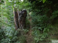 2025-07-27 M. Pelago e Lacs Bessons 025